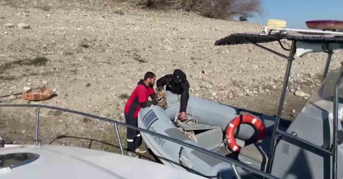 Gölde su yükseldi, mahsur kalan yavru köpekleri polis kurtardı