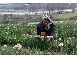 Hobi olarak başladı geçim kaynağı oldu