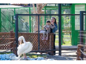 Tarsus Doğa Parkı, yarı yıl tatilinde çocukları ağırlıyor