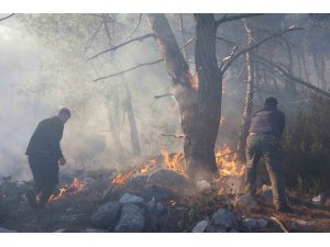 Büyükşehir itfaiyesinden orman yangınına müdahale desteği