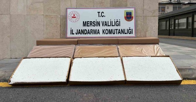 Mersin’de 84 bin adet makaron ele geçirildi