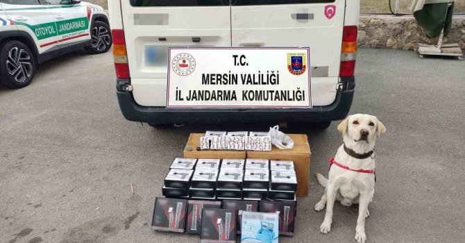 Narkotik köpeği uyuşturucu hapları buldu: 3 gözaltı