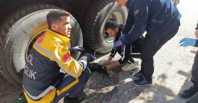 Ev yangınında 2 kişi çatıdan kurtarıldı, yanan kedilere oksijen maskesiyle müdahale edildi