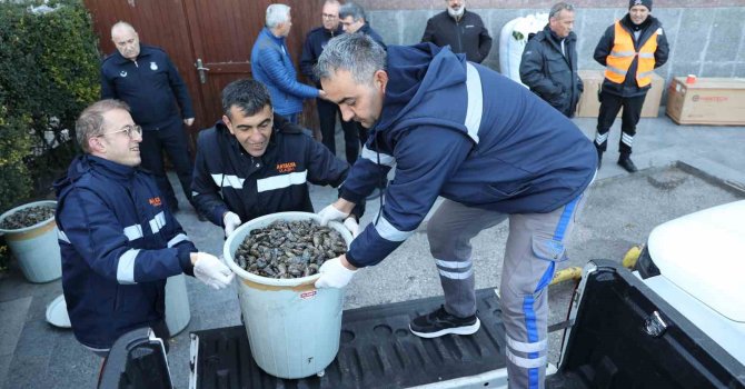 Antalya Otobüs Terminali’nde 300 kilogram midyeye el konuldu