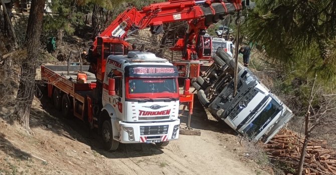 Tomruk yüklü kamyon devrildi sürücü yaralandı