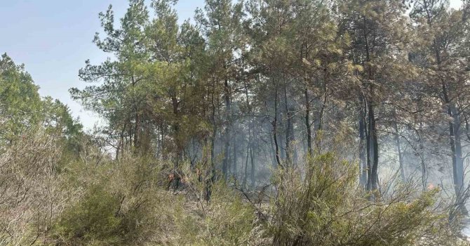 Kemer’deki orman yangını kontrol altına alındı, 2 hektarlık alan zarar gördü