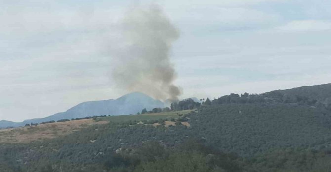 Kahramanmaraş’ta ormanlık alanda çıkan yangın söndürüldü