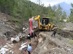 Uçuruma yuvarlanan inek, 2 gün sonra kepçeyle kurtarıldı