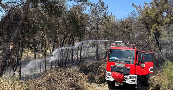 Mersin’de orman yangını: 1,5 hektar alan zarar gördü