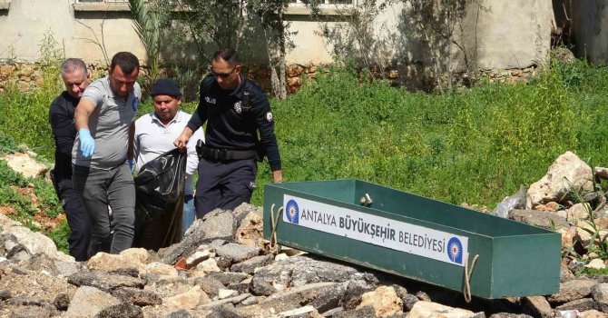 Cezaevinden izinli çıkan genç kadın boş arazide ölü bulundu