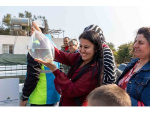 Mersin’de kadınlar haşere mücadelesi için lepistes balığı yetiştirecek