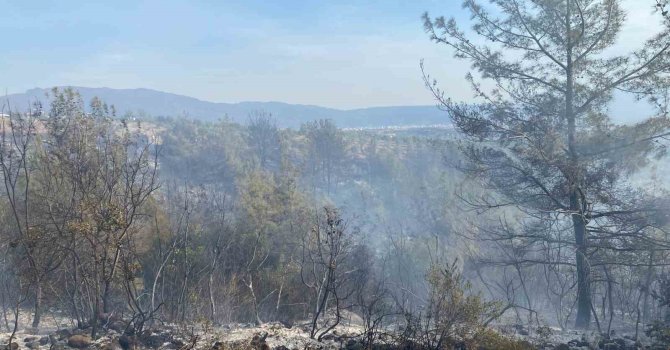 Osmaniye’nin Düziçi ilçesinde çıkan orman yangını söndürüldü