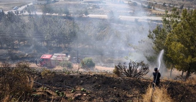 İskenderun’da ağaçlık alan yangını