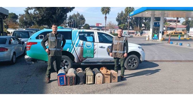 Mersin’de bahis için dövüştürülen 7 horoz koruma altına alındı