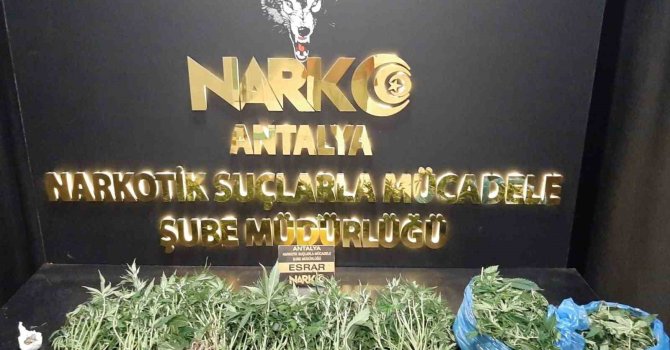 Antalya’da son 1 haftada narkotik suçlarda 11 şahıs tutuklandı