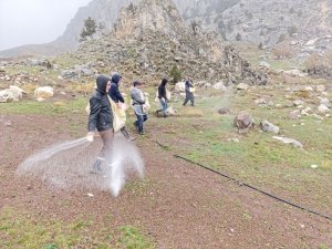 Meralardaki ekimler, gübre ile zenginleştirildi