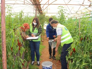 Büyükşehir çiftçinin toprağını analiz ediyor