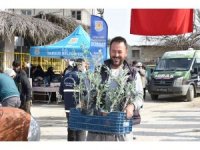 Tarsus Belediyesi, üreticilere 40 bin adet yerli fide dağıttı