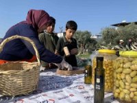 Zeytin gen bahçesi okullara ev sahipliği yapıyor