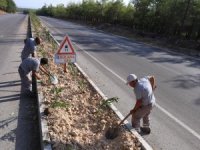 Kepez’in caddeleri çiçek açıyor