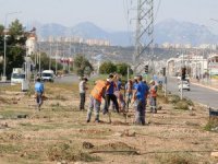 Büyükşehir’den milli ağaçlandırma gününe destek