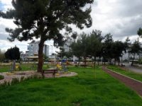 Varsak’a çam ağaçlı park