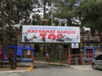 Ziyarete açılan Hayvanat Bahçesi yeni türleri ağırlıyor