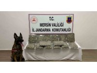 Mersin’de 14 kilo 200 gram skunk ele geçirildi