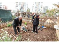 Mezitli’nin ’Hobi Bahçeleri’ne büyük ilgi