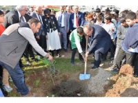 Mersin’de okul bahçelerine 600 zeytin fidanı dikildi