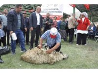 Isparta’da 15 çobana karavan hediye edildi