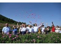 Büyükelçiler Isparta’da gülün yolculuğuna tanıklık etti