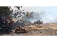 Antalya’da orman dışı otluk alanda yangın