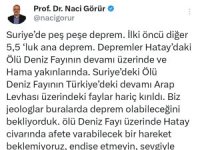 Deprem uzmanı Naci Görür’den "endişe etmeyin" açıklaması