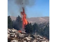 Kahramanmaraş’ta orman yangını söndürüldü