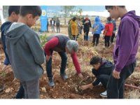 Öğretmenler Günü anısına 300 fidan toprakla buluşturuldu