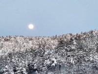 Adana’nın Feke ilçesi beyaza büründü