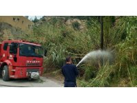 Samandağ’da kamışlık alanda çıkan yangın söndürüldü