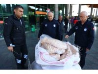 Şanlıurfa’dan Antalya’ya otobüsle gönderilen 300 kilogram sakatata el konuldu