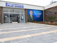 Düden Balık Çarşısı hizmet vermeye başladı